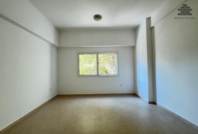 977904 - Property Image 3