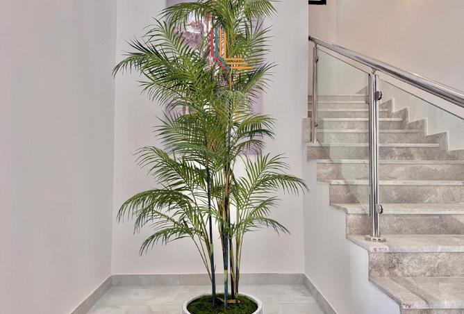 992539 - صورة العقار 3