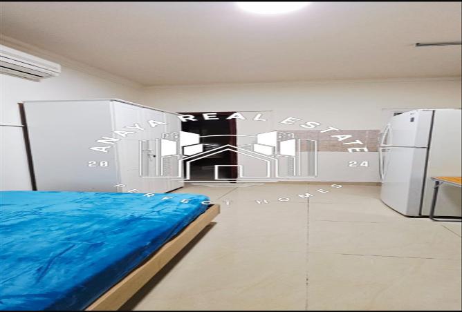 990918 - Property Image 2