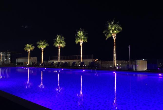 981169 - Property Image 3