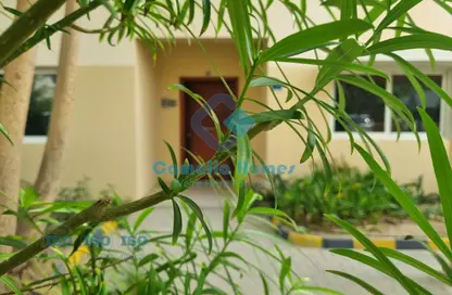 Compound - 3 Bedrooms - 3 Bathrooms for rent in Al Gharrafa - Al Gharrafa - Doha