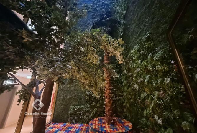 942822 - صورة العقار 2