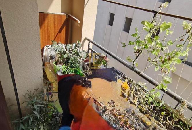 930187 - Property Image 3