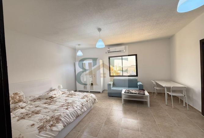 973979 - Property Image 3